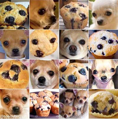 Muffins.png